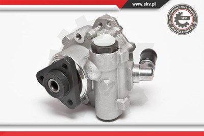 Esen Skv Hydraulikpumpe, Lenkung [Hersteller-Nr. 10SKV072] für BMW von ESEN SKV