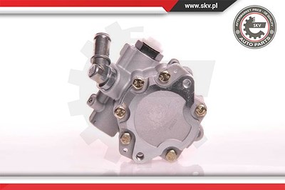 Esen Skv Hydraulikpumpe, Lenkung [Hersteller-Nr. 10SKV105] für VW von ESEN SKV