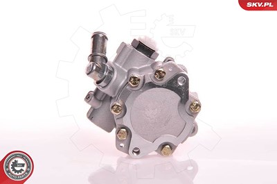 Esen Skv Hydraulikpumpe, Lenkung [Hersteller-Nr. 10SKV105] für VW von ESEN SKV