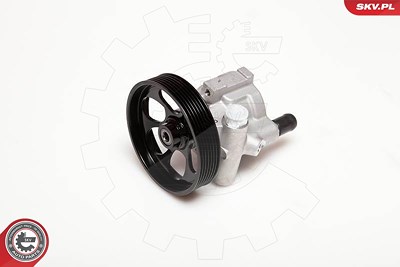 Esen Skv Hydraulikpumpe, Lenkung [Hersteller-Nr. 10SKV115] für Renault von ESEN SKV