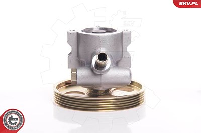 Esen Skv Hydraulikpumpe, Lenkung [Hersteller-Nr. 10SKV119] für Citroën, Peugeot von ESEN SKV