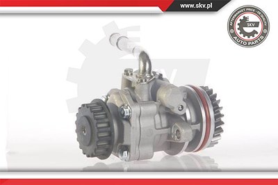 Esen Skv Hydraulikpumpe, Lenkung [Hersteller-Nr. 10SKV131] für VW von ESEN SKV