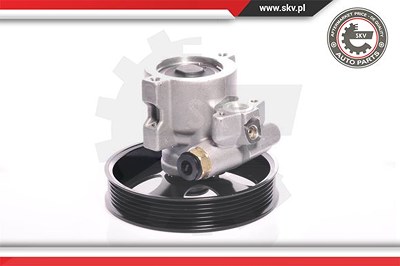 Esen Skv Hydraulikpumpe, Lenkung [Hersteller-Nr. 10SKV143] für Daewoo von ESEN SKV