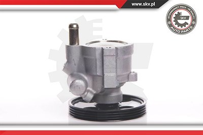Esen Skv Hydraulikpumpe, Lenkung [Hersteller-Nr. 10SKV146] für Renault von ESEN SKV