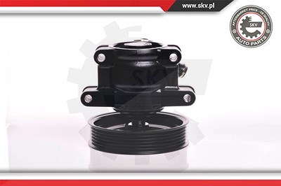 Esen Skv Hydraulikpumpe, Lenkung [Hersteller-Nr. 10SKV150] für Ford von ESEN SKV