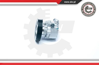 Esen Skv Hydraulikpumpe, Lenkung [Hersteller-Nr. 10SKV183] für Audi von ESEN SKV