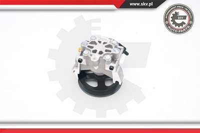Esen Skv Hydraulikpumpe, Lenkung [Hersteller-Nr. 10SKV188] für Ford von ESEN SKV