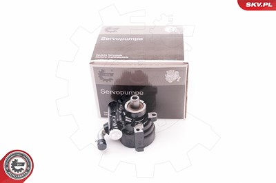 Esen Skv Hydraulikpumpe, Lenkung [Hersteller-Nr. 10SKV229] für Nissan, Renault von ESEN SKV