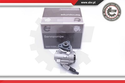 Esen Skv Hydraulikpumpe, Lenkung [Hersteller-Nr. 10SKV243] für Audi von ESEN SKV