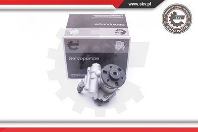 Esen Skv Hydraulikpumpe, Lenkung [Hersteller-Nr. 10SKV246] für BMW von ESEN SKV