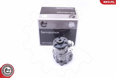 Esen Skv Hydraulikpumpe, Lenkung [Hersteller-Nr. 10SKV247] für BMW von ESEN SKV