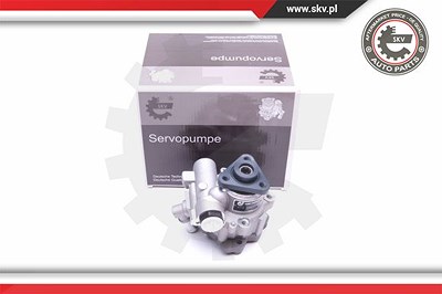 Esen Skv Hydraulikpumpe, Lenkung [Hersteller-Nr. 10SKV248] für BMW von ESEN SKV