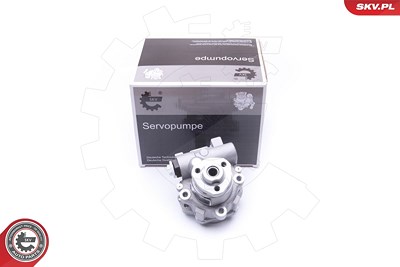 Esen Skv Hydraulikpumpe, Lenkung [Hersteller-Nr. 10SKV256] für Audi, Ford, Seat, Skoda, VW von ESEN SKV