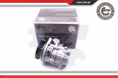 Esen Skv Hydraulikpumpe, Lenkung [Hersteller-Nr. 10SKV289] für VW von ESEN SKV