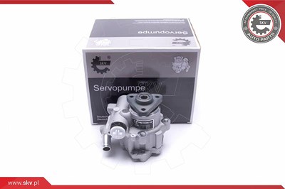 Esen Skv Hydraulikpumpe, Lenkung [Hersteller-Nr. 10SKV296] für Land Rover von ESEN SKV