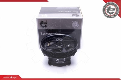 Esen Skv Hydraulikpumpe, Lenkung [Hersteller-Nr. 10SKV303] für Ford von ESEN SKV