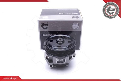 Esen Skv Hydraulikpumpe, Lenkung [Hersteller-Nr. 10SKV309] für Ford von ESEN SKV