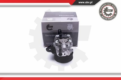 Esen Skv Hydraulikpumpe, Lenkung [Hersteller-Nr. 10SKV310] für Land Rover von ESEN SKV