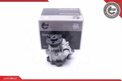 Esen Skv Hydraulikpumpe, Lenkung [Hersteller-Nr. 10SKV312] für BMW von ESEN SKV