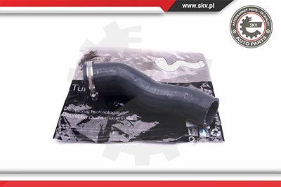 Esen Skv Ladeluftschlauch [Hersteller-Nr. 43SKV174] für BMW von ESEN SKV