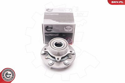 Esen Skv Radlagersatz [Hersteller-Nr. 29SKV100] für Mitsubishi von ESEN SKV