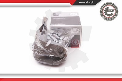 Esen Skv Radlagersatz [Hersteller-Nr. 29SKV250] für Mini von ESEN SKV