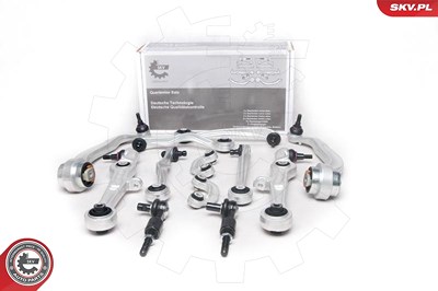 Esen Skv Reparatursatz, Querlenker [Hersteller-Nr. 04SKV250] für Audi, Seat von ESEN SKV