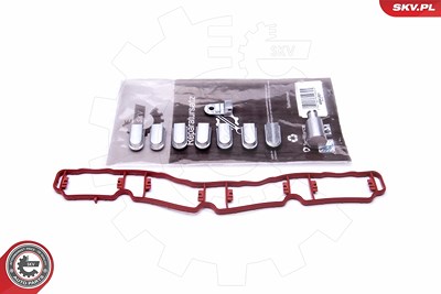 Esen Skv Reparatursatz, Saugrohrmodul [Hersteller-Nr. 49SKV521] für Audi, Seat, Skoda, VW von ESEN SKV