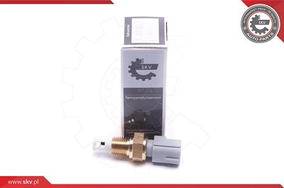 Esen Skv Sensor, Ansauglufttemperatur [Hersteller-Nr. 17SKV684] für Chrysler, Dodge, Jeep, Plymouth von ESEN SKV