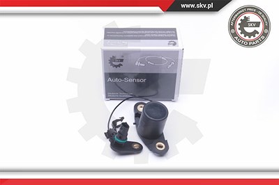 Esen Skv Sensor, Motorölstand [Hersteller-Nr. 17SKV401] für Mercedes-Benz von ESEN SKV