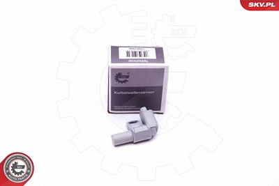 Esen Skv Sensor, Nockenwellenposition [Hersteller-Nr. 17SKV500] für Citroën, Fiat, Ford, Jaguar, Lancia, Land Rover, Mazda, Mini, Mitsubishi, Peugeot, von ESEN SKV