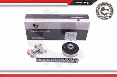 Esen Skv Steuerkettensatz [Hersteller-Nr. 21SKV115] für Audi, Seat, Skoda, VW von ESEN SKV
