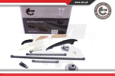 Esen Skv Steuerkettensatz [Hersteller-Nr. 21SKV139] für Audi, Seat, Skoda, VW von ESEN SKV