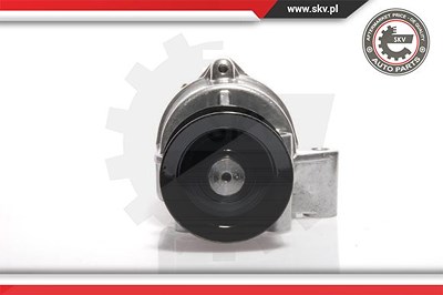 Esen Skv Unterdruckpumpe, Bremsanlage [Hersteller-Nr. 18SKV002] für Ford von ESEN SKV