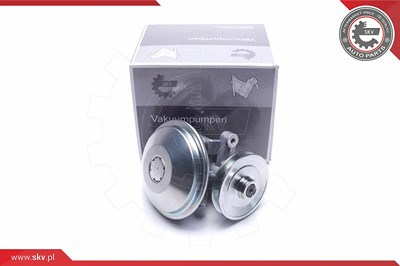 Esen Skv Unterdruckpumpe, Bremsanlage [Hersteller-Nr. 18SKV038] für Peugeot von ESEN SKV