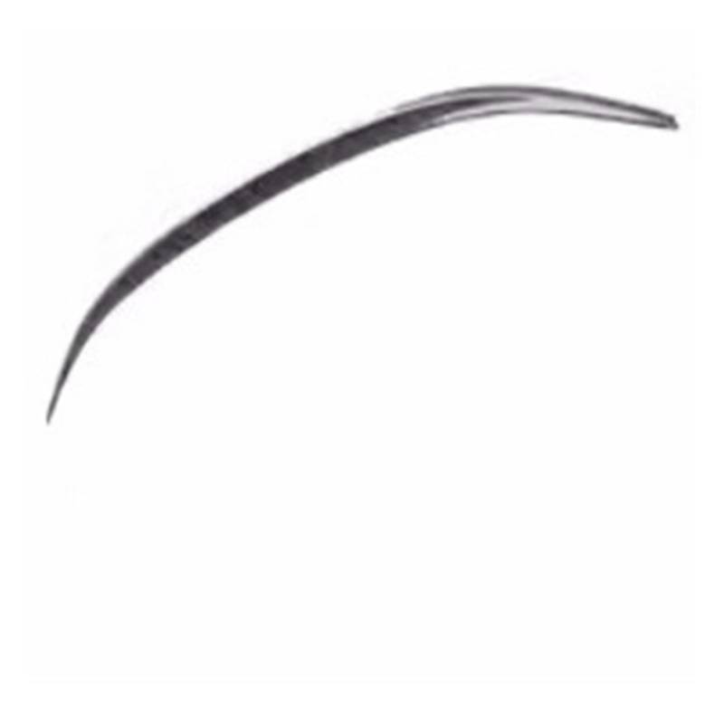 Für ZEEKR 001 2021-2024 Dry Carbon Tail Flügel Modifizierte Schwarz Heckspoiler Körper Kit Auto Zubehör(Dry carbon 2) von ETIGBG