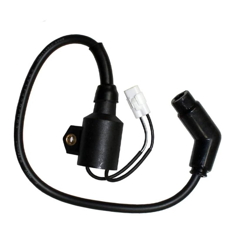 EUPLI 3089860 3089910 Zündspule Für Polaris Hawkeye 2X4 2006-2011 4X4 2006-2007 von EUPLI