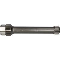 Element, Ölpumpe EURORICAMBI 60531903 von Euroricambi