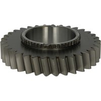Zahnrad, Getriebe EURORICAMBI 95533319 Zahnrad, Getriebe EURORICAMBI 95533319 von Euroricambi