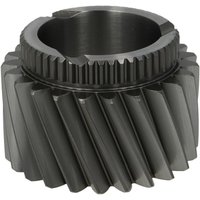 Zahnrad, Wechselgetriebe EURORICAMBI 95535320 von Euroricambi