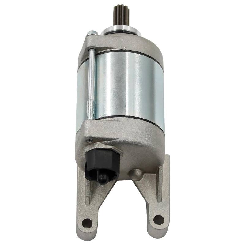 Anlasser Motor Motorstart Für YS250 250 Blueflex XTZ250 Lander Tenere 44C-H1890-10 Motorrad Elektrischer Starter Motorrad Motor Motor Motorrad-Starter von EVEPSUYMPN