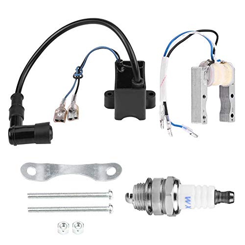 CDI Zündspule Magneto für motorisierte 49cc 66cc 80cc Motor Fahrradzündkerze von EVGATSAUTO