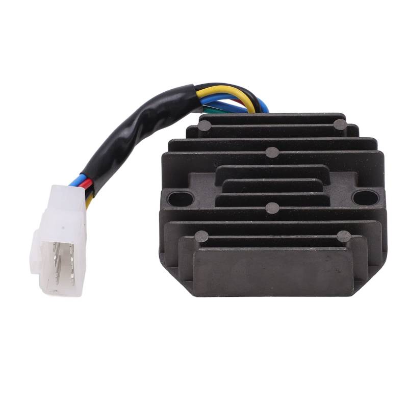 186f 6W bürstenloser Generator Automatische Spannungsregler -Motorstabilisator 12V von EVTSCAN