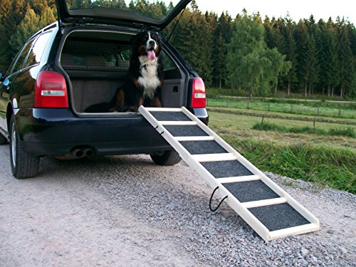 Easy-Hopper Hunderampe / Hundetreppe / Einstieghilfe "Komfort Natur" mit Rasenbelag von Easy-Hopper