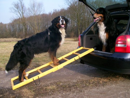 Easy-Hopper Hunderampe / Hundetreppe / Einstiegshilfe "Komfort" imprägniert mit Feinriefengummimatte von Easy-Hopper