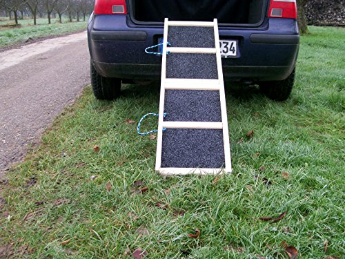 Easy-Hopper Hunderampe / Hundetreppe / Einstiegshilfe "Standard Natur" mit Rasenbelag von Easy-Hopper