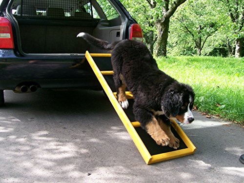 Easy-Hopper Hunderampe / Hundetreppe / Einstiegshilfe "Standard" imprägniert mit Feinriefengummimatte von Easy-Hopper