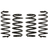 Fahrwerksatz, Federn EIBACH Pro-Kit E10-15-018-01-22 von Eibach