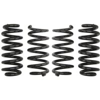 Fahrwerksatz, Federn EIBACH Pro-Kit E10-15-025-01-22 Fahrwerksatz, Federn EIBACH Pro-Kit E10-15-025-01-22 von Eibach
