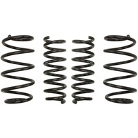 Fahrwerksatz, Federn EIBACH Pro-Kit E10-20-024-02-22 Fahrwerksatz, Federn EIBACH Pro-Kit E10-20-024-02-22 von Eibach